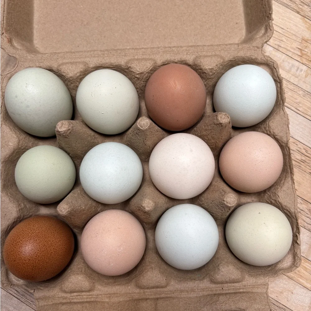 Hatching eggs 🪺 - Picture 3 of 15